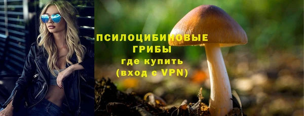 дурь Мегион