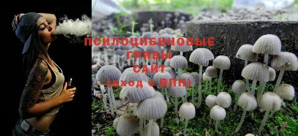 дурь Мегион