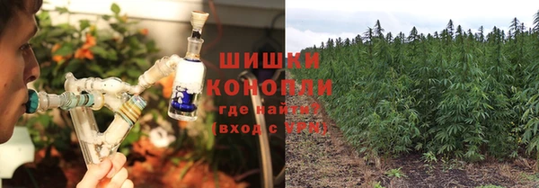 дурь Мегион