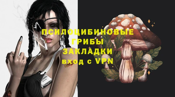 дурь Мегион