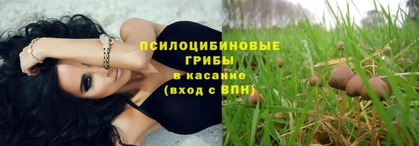 дурь Мегион
