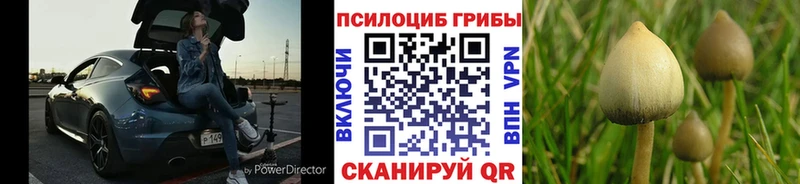 Купить  Заволжье  Галлюциногенные грибы GOLDEN TEACHER 